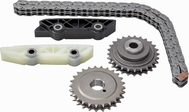 BorgWarner (AWD) 59007150001 - Timing Chain Kit autospares.lv