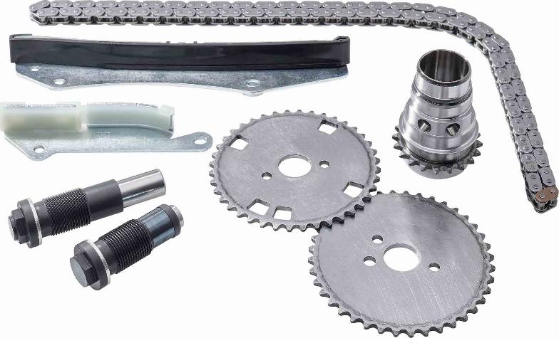 BorgWarner (AWD) 59007150002 - Timing Chain Kit autospares.lv