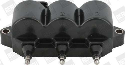 BorgWarner (BERU) ZS539 - Ignition Coil autospares.lv