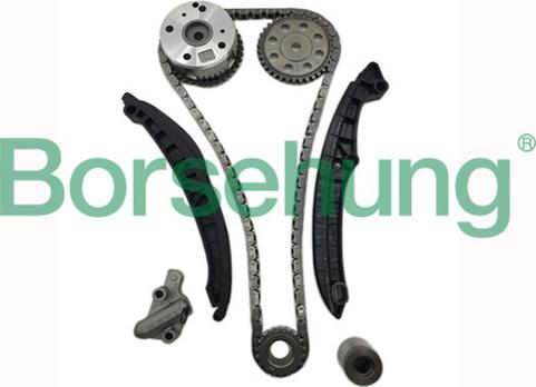 Borsehung B16306 - Timing Chain Kit autospares.lv