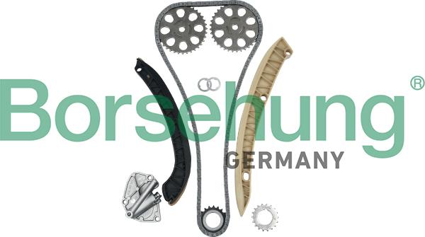 Borsehung B16295 - Timing Chain Kit autospares.lv