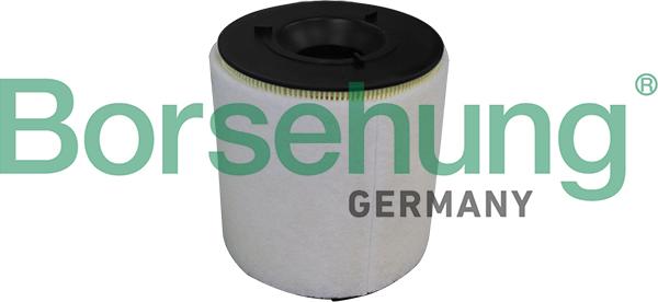 Borsehung B10539 - Air Filter, engine autospares.lv