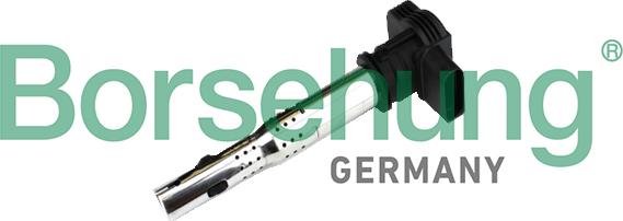 Borsehung B18972 - Ignition Coil autospares.lv