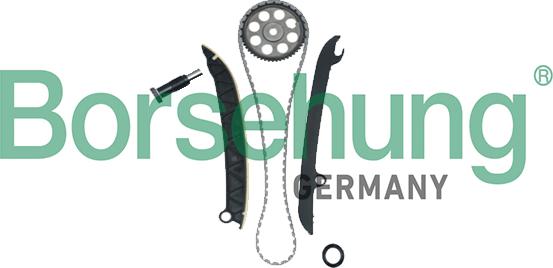 Borsehung B18977 - Timing Chain Kit autospares.lv