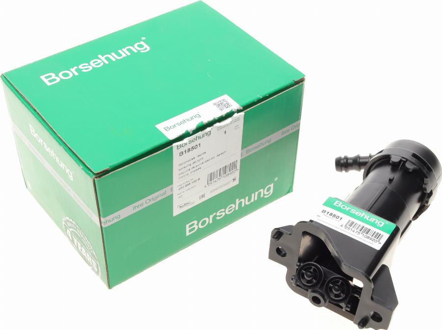 Borsehung B18501 - Washer Fluid Jet, headlight cleaning autospares.lv