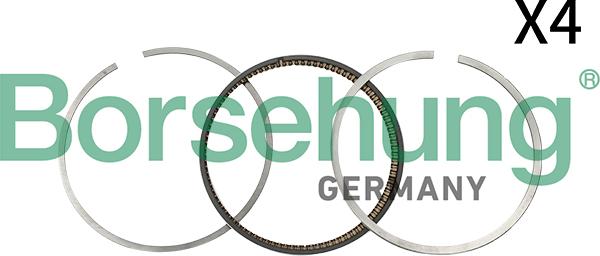 Borsehung B18811 - Piston Ring Kit autospares.lv