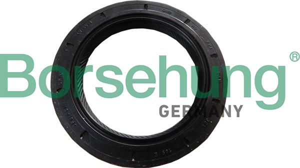 Borsehung B18791 - Shaft Seal, manual transmission flange autospares.lv