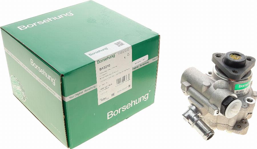 Borsehung B13210 - Hydraulic Pump, steering system autospares.lv