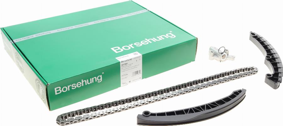 Borsehung B17991 - Timing Chain Kit autospares.lv