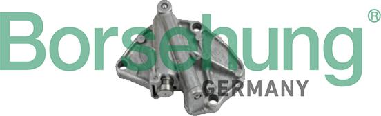 Borsehung B1T001 - Tensioner, timing chain autospares.lv