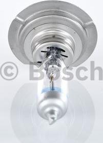 BOSCH 1 987 301 110 - Bulb, spotlight autospares.lv