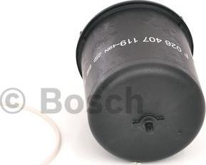 BOSCH F 026 407 119 - Oil Filter autospares.lv