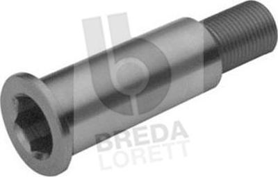 Breda Lorett TOA3074 - Bearing Journal, tensioner pulley lever autospares.lv
