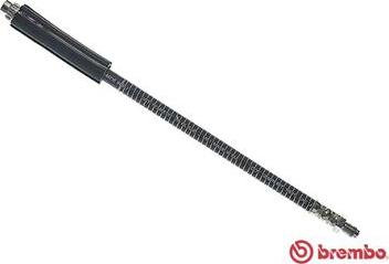 Brembo T 61 041 - Brake Hose autospares.lv