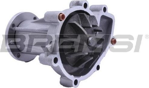 Bremsi WP0622 - Water Pump autospares.lv