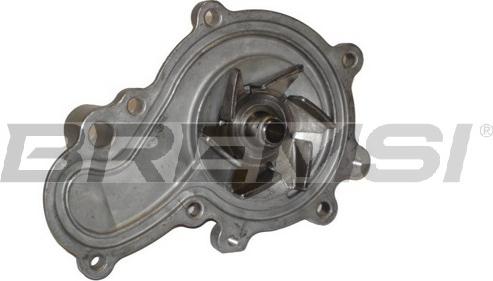 Bremsi WP0108 - Water Pump autospares.lv