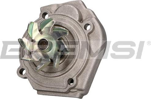 Bremsi WP0134 - Water Pump autospares.lv