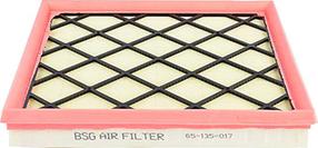 BSG BSG 65-135-017 - Air Filter, engine autospares.lv