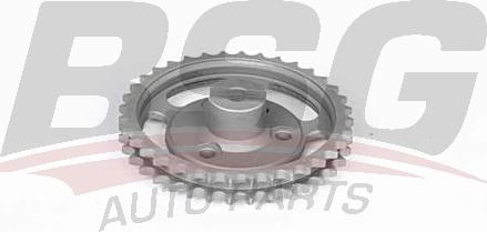 BSG BSG 60-109-003 - Timing Chain Kit autospares.lv