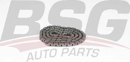 BSG BSG 60-105-001 - Timing Chain autospares.lv