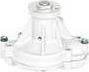 BSG BSG 15-500-036 - Water Pump autospares.lv