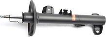 BSG BSG 15-300-034 - Shock Absorber autospares.lv