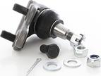 BSG BSG 85-310-032 - Ball Joint autospares.lv