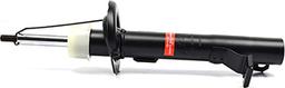 BSG BSG 30-300-044 - Shock Absorber autospares.lv