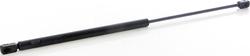 BSG BSG 25-980-008 - Gas Spring, boot, cargo area autospares.lv