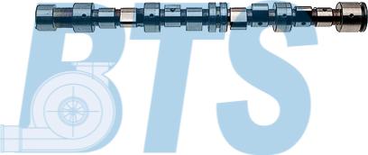 BTS Turbo CP12241 - Camshaft autospares.lv