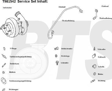 BTS Turbo T981542 - Charger, charging system autospares.lv