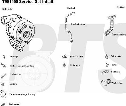 BTS Turbo T981508 - Charger, charging system autospares.lv