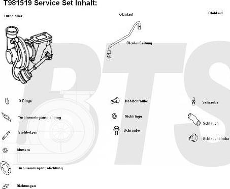 BTS Turbo T981519 - Charger, charging system autospares.lv