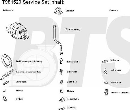 BTS Turbo T981520BL - Charger, charging system autospares.lv