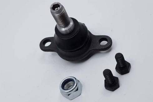 Bugiad BAP55120 - Ball Joint autospares.lv