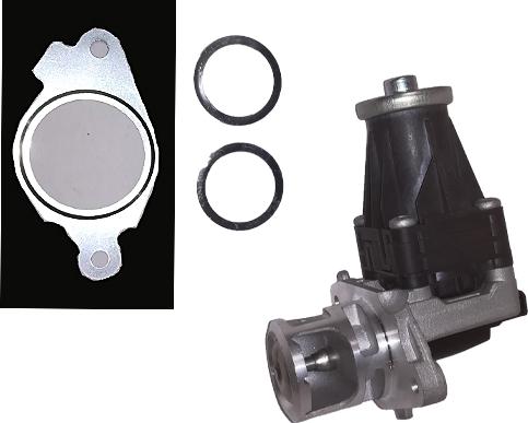 Bugiad BGR13090 - EGR Valve autospares.lv