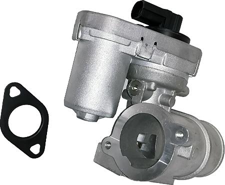 Bugiad BGR13069 - EGR Valve autospares.lv