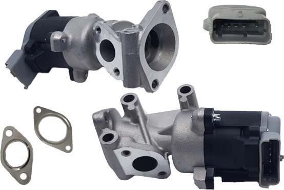 Bugiad BGR13066 - EGR Valve autospares.lv