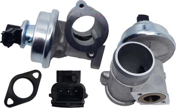 Bugiad BGR13062 - EGR Valve autospares.lv