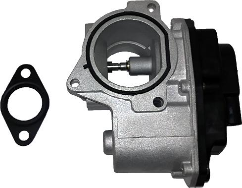 Bugiad BGR13009 - EGR Valve autospares.lv