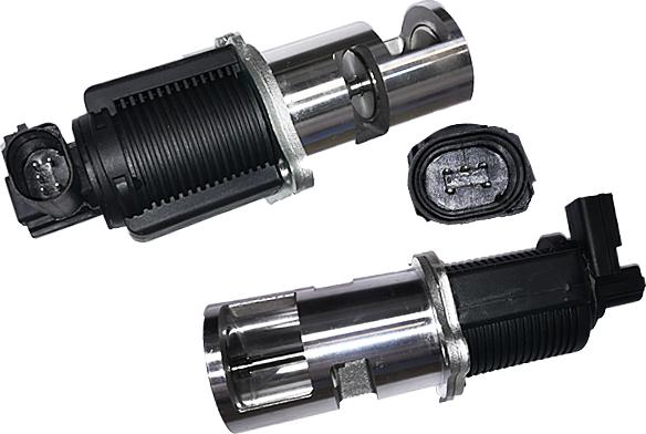 Bugiad BGR13034 - EGR Valve autospares.lv