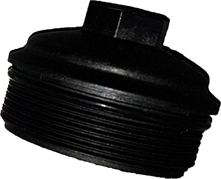 Bugiad BSP25079 - Cap, oil filter housing autospares.lv