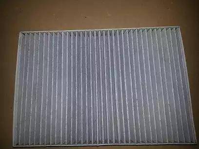 Bugiad BSP20651 - Filter, interior air autospares.lv