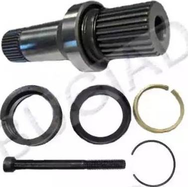 Bugiad BSP22911 - Stub Axle, differential autospares.lv