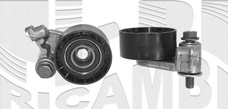 Caliber 46966 - Tensioner Pulley, timing belt autospares.lv