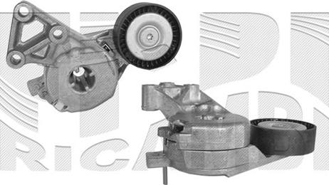 Caliber 56667 - Belt Tensioner, v-ribbed belt autospares.lv