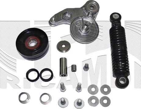 Caliber 88766 - Repair Kit, v-ribbed belt tensioner autospares.lv