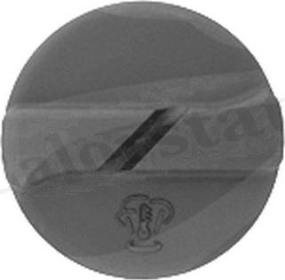 Calorstat by Vernet RC0005 - Sealing Cap, coolant tank autospares.lv