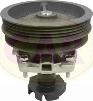 CAR 330092 - Water Pump autospares.lv