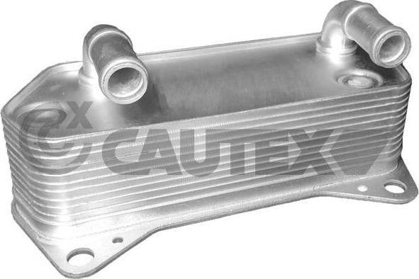 Cautex 462519 - Oil Cooler, engine oil autospares.lv